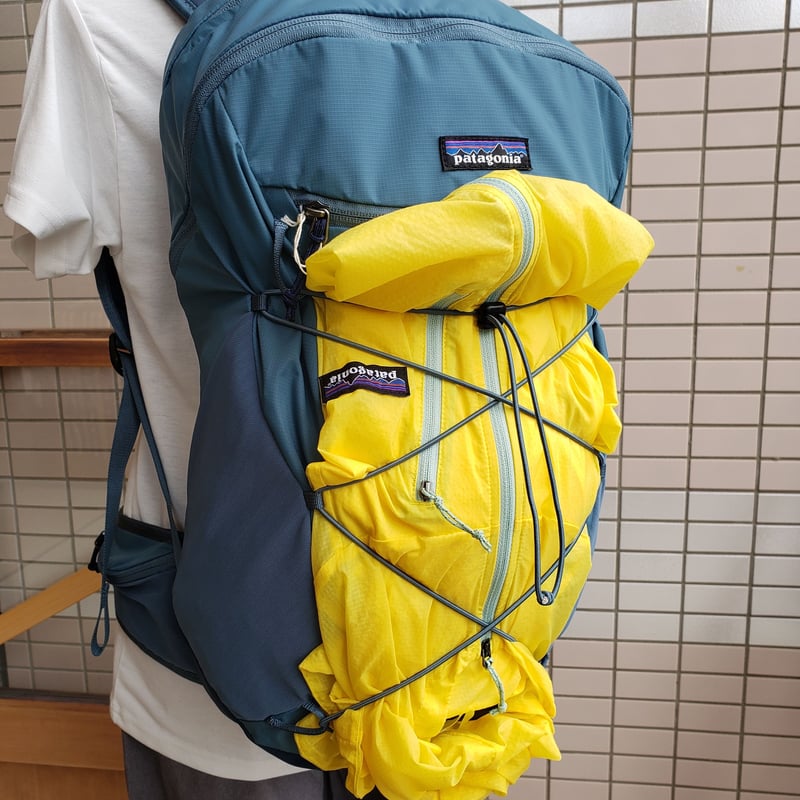 【値下げ】patagonia (パタゴニア) アルトヴィア・パック 22L