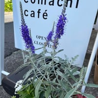 ★代表森の個別コンサル付き★居場所の事業・資金計画の立て方講座