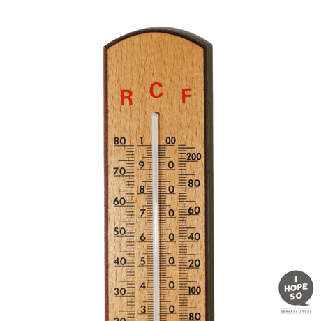 Analoges School Tchulthermometer