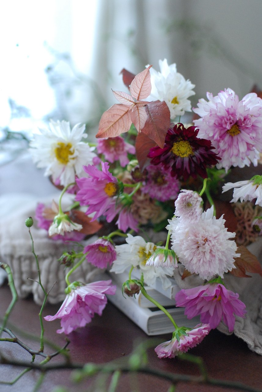 秋野不矩、【紅衣】、希少な額装用画集より、新品額装付、状態良好 Yahoo!オークション -「秋野不矩」の落札相場・落札価格