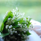 FLORETTA