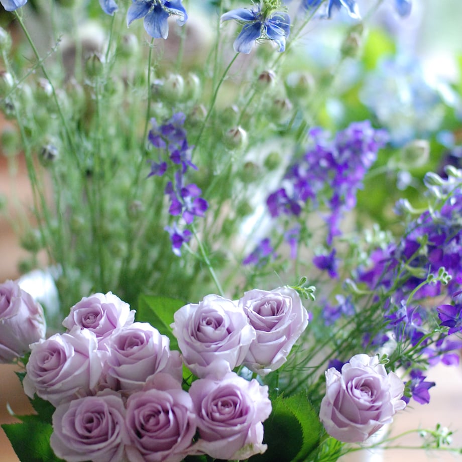 65b6e7cd75716e10accda8d5