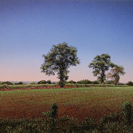 有吉宏朗　「夜明の樹々」 F4号      Ariyoshi  Hiroaki   「Trees at Dawn」 (24.2×33.3cm)