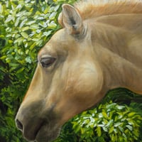森 水翔　「Evergreen」　F3号 　Mori Mizuha   (27.3×22.0cm)