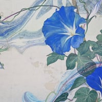 伊藤寛人  「朝 顔」　P6号  Ito Hiroto   (27.3×41.0cm)