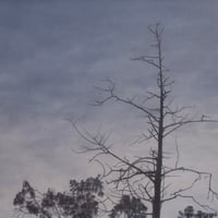津絵太陽 「あきのくれ」  F3号    Tsue Taiyo  (22.0×27.3cm)