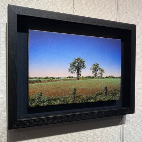 有吉宏朗　「夜明の樹々」 F4号      Ariyoshi  Hiroaki   「Trees at Dawn」 (24.2×33.3cm)