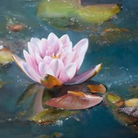 三箇大介 「睡 蓮」　F3号   Sanga  Daisuke 「Water lily」 (22.0×27.3cm)