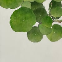 根本内大木　「円」　 P6号　  Nemotouchi Hiroki  (41.0×27.3cm)