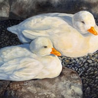 森 水翔　「冬の日向ぼっこ」　F4号 　Mori Mizuha 「Basking in the winter sun」  (24.2×33.3cm)