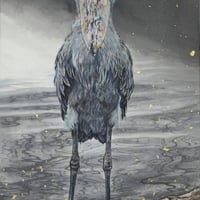 北川安希子　「樹上ーハシビロコウ」  M6号　 Kitagawa  Akiko　「Tree-dwelling - Hornbill」  (41.0×24.2cm)