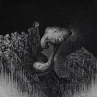 伊藤大悟 「分解者は鳳凰三山で」  20×20cm　  Ito Daygo