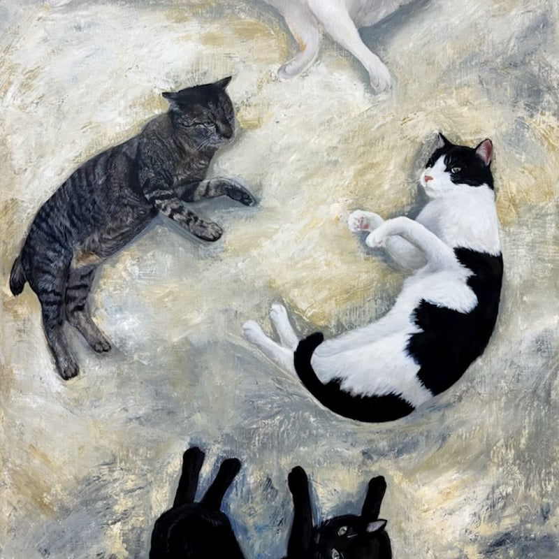 森 水翔 「野良猫異文化交流」 P50号 Mori Mizuha 「Stray Cat Cr