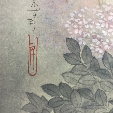 松平一民   「木花佐久夜毘売」(コノハナサクヤヒメ )  P6号      Matsudaira Kazutami   「 as the cherry blossoms .」　41.0×27.3cm