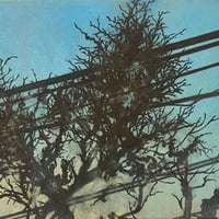 根本内大木　「冬」　 サムホール 　  Nemotouchi Hiroki  (15.8×22.7cm)