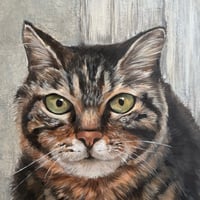 森 水翔　「パリの猫」　サムホール 　Mori Mizuha  (22.7×15.8cm)