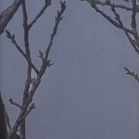 津絵太陽 「ふゆきのめ」  M3号    Tsue Taiyo  (27.3×16.0cm)
