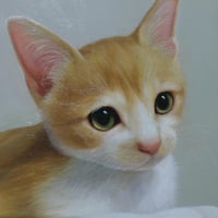朝日夏実　「子猫の時間 」　 F0号　Asahi Natsumi   (18.0×14.0cm)