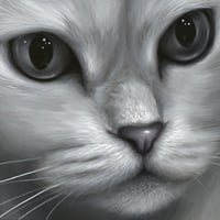 船越友理奈  「静 観」  S3号　Funakoshi Yurina  　 (27.3×27.3cm)