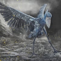 北川安希子　「飛翔ーハシビロコウ」  P10号　 Kitagawa  Akiko　「Flight—Hornbill」  (41.0×53.0cm)