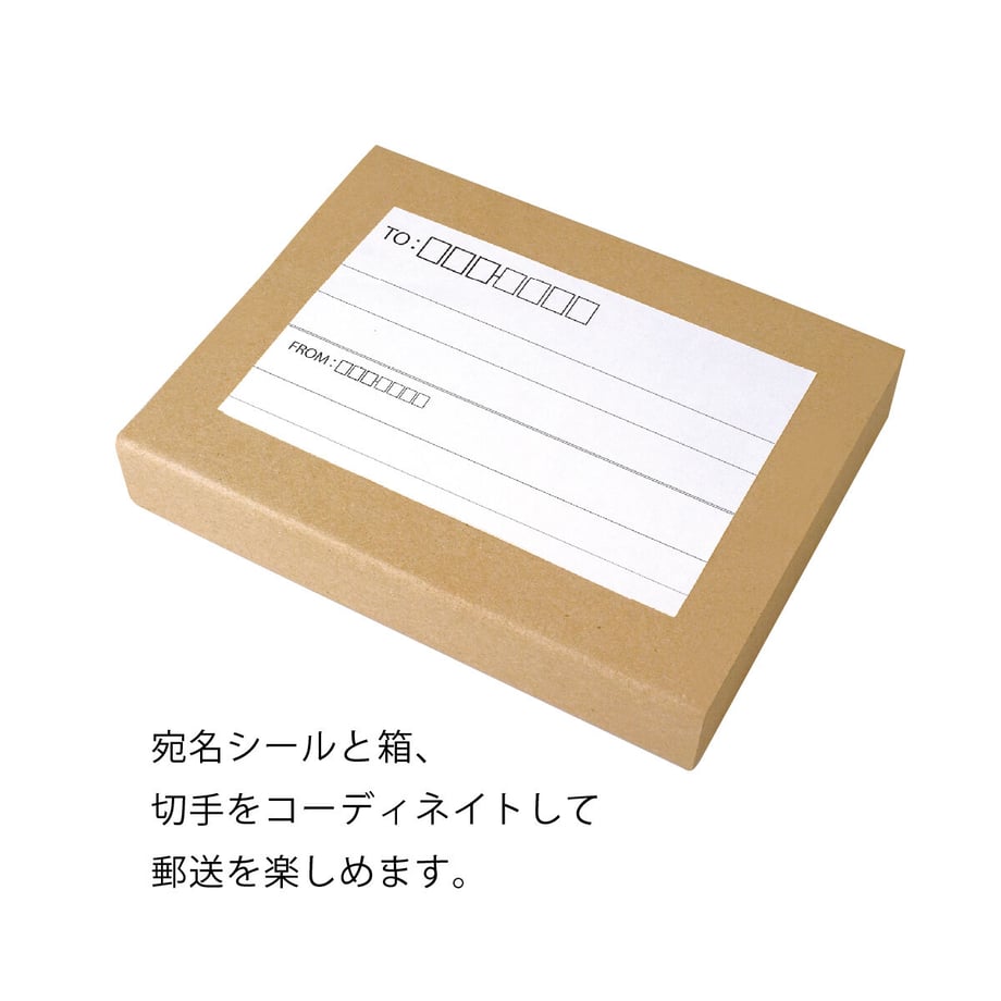 645ddf9338b3a5008115b55b