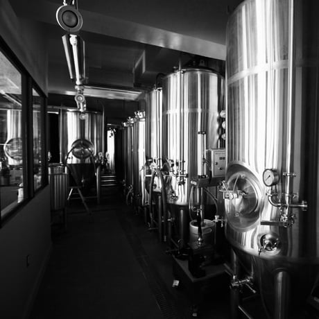 《ウォルフブロイ》クラフトビール12本セット