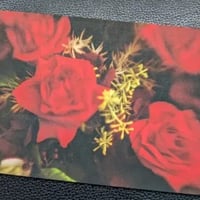 石田二郎　フォト・ポストカード　(バラ)