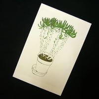 鉢の植物-石田マキ