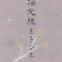 一筆箋　封筒6枚付き　撫子描文様とトンボ　20枚