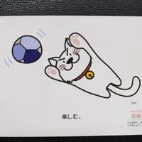 遊戯三昧（ゆげざんまい）