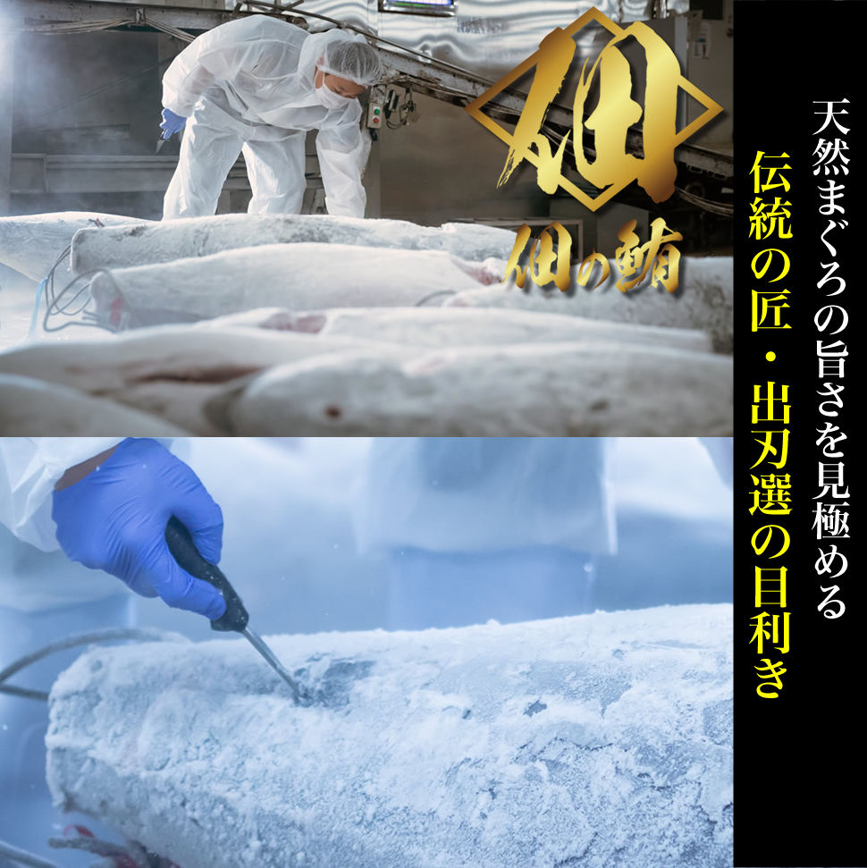 最高峰】幻のまぐろ・中トロ＆赤身セット ◇ 250g／150g | 佃の鮪