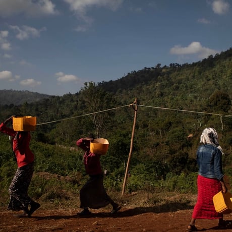 《100g/200g》エチオピア チェルベサ　アナエロビックナチュラル168H　中浅煎り
