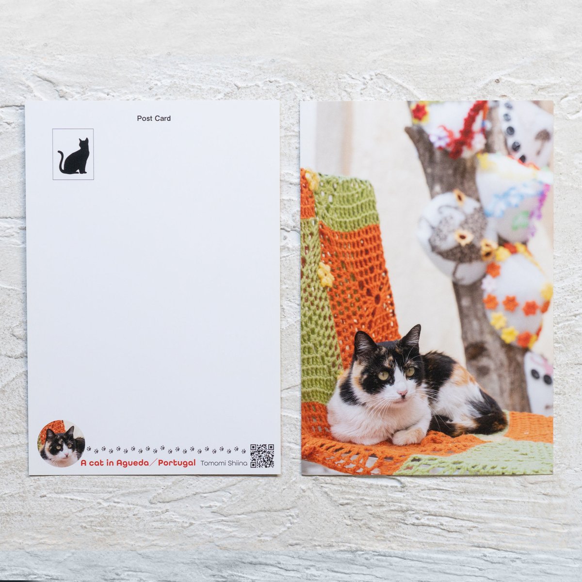 旅するポストカード】ポルトガルの猫・ポストカードセット５枚組 | 写真雑貨店フォトジーニョ（...