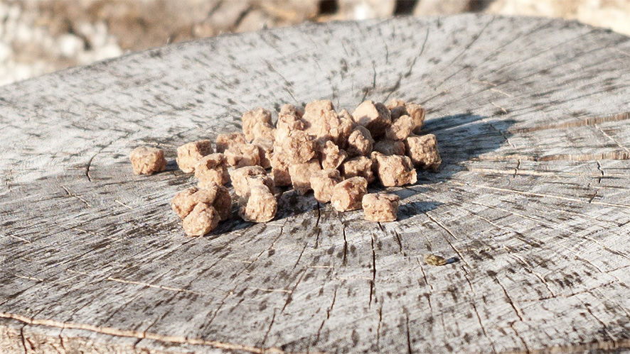 賞味期限2026年2月28日】ZYMOホースドライフード 90g | ZYMO netshop