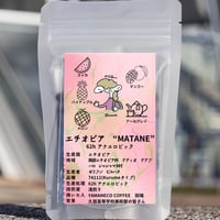 エチオピア アナエロビックナチュラル　浅煎り　30 g