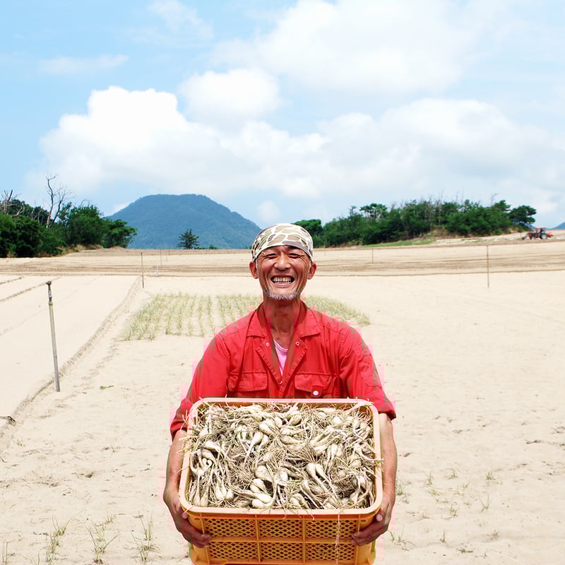 橋本さん家のらっきょう | らっきょう屋オンラインSHOP（旧うみいろ