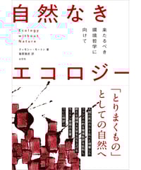 観察者の系譜 視覚空間の変容とモダニティ  /以文社/ジョナサン・クレ-リ-（単行本） 観察者の系譜: 視覚空間の変容とモダニティ (以文叢書