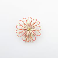 菊華　-kikka-