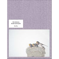 川内倫子｜Des oiseaux（On birds）
