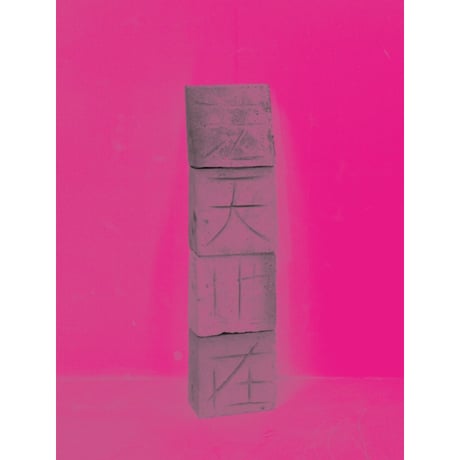 安野谷昌穂｜DEMO  Future Book