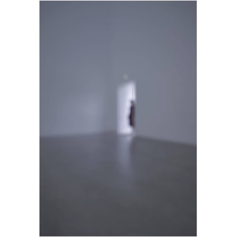 特装版】内藤礼｜うつしあう創造 | HeHe