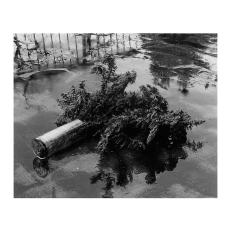 荒木経惟｜センチメンタルな旅 1971－2017－