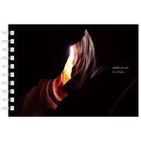 サイン入り  照井利幸  In Search of Resonance 照井利幸｜響きを求めて In Search of Resonance【サイン入り