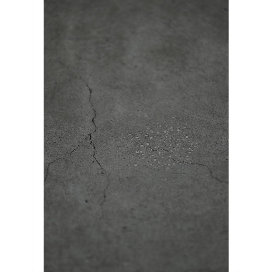 内藤礼　うつしあう創造　特装版 特装版】内藤礼｜うつしあう創造 | HeHe