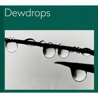 川内倫子｜ Halo（US版・別紙和訳付き）サイン入り | HeHe