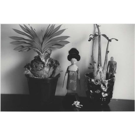荒木経惟｜センチメンタルな旅 1971－2017－
