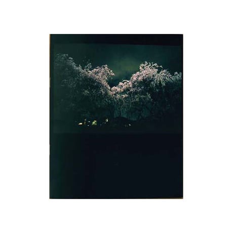 アナト・パルナス｜夜気