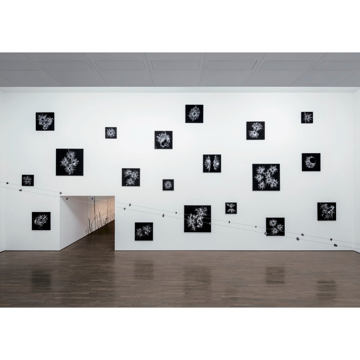 鈴木ヒラク 今日の発掘 | HeHe