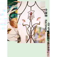 今津景｜タナ・アイル