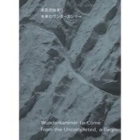 未完の始まり：未来のヴンダーカンマー